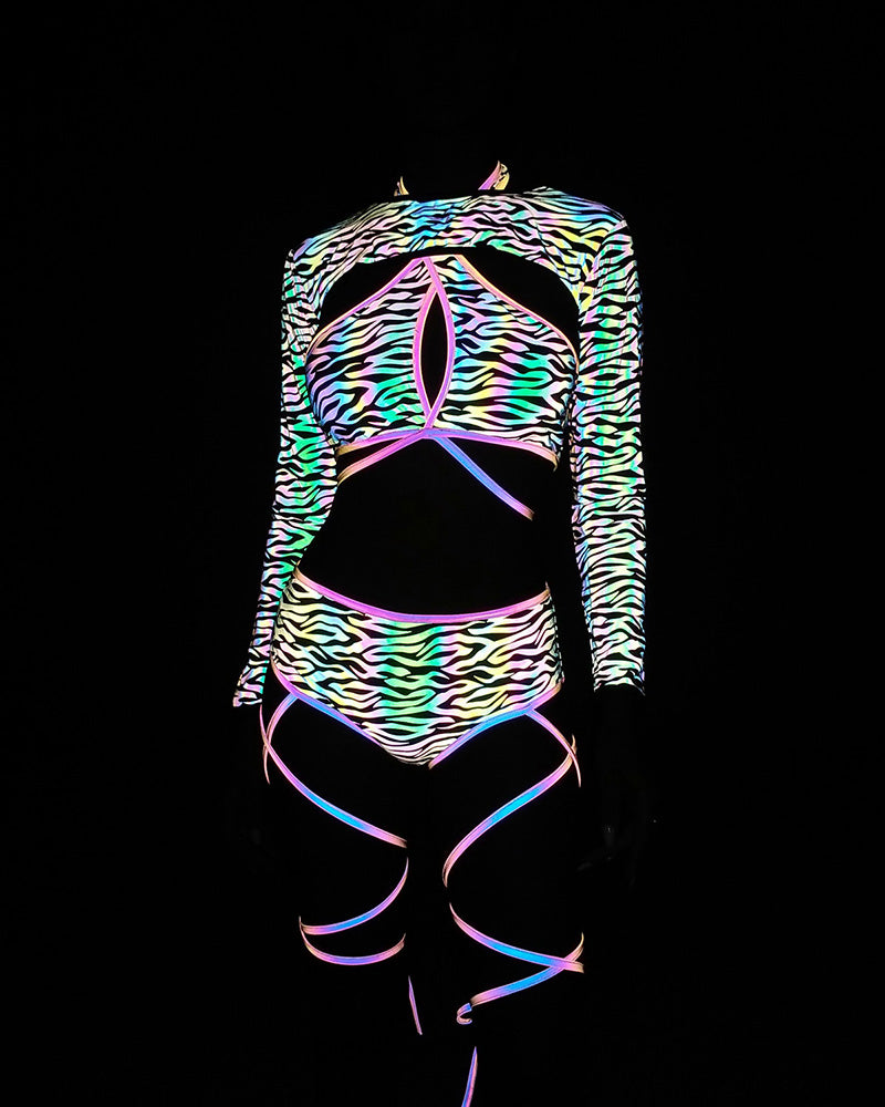 Mushroom and Zebra Print Reflective Bikini Set – Msdark